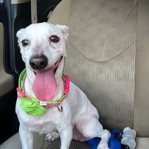 Meet your Posher, Kim